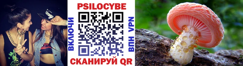 MEGA онион  где найти наркотики  Новосокольники  Галлюциногенные грибы Psilocybe 